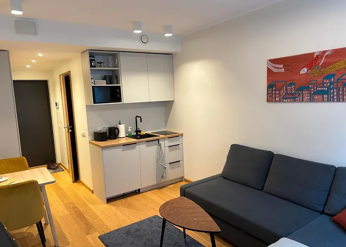 Small Apartment Near City Centre